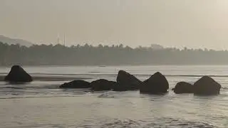 Палолем на рассвете.