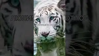 Это я, по мнению моих друзей🤪 