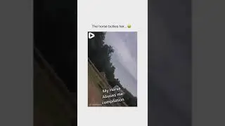 the horse bullies her 🤣🤣 #shorts #trending #viral #horse
