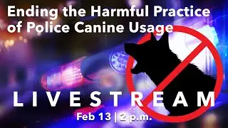 Ending the Harmful Practice of Police Canine Usage