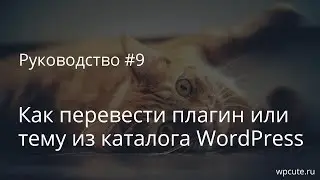 Руководство #9. Как перевести плагин или тему из каталога WordPress