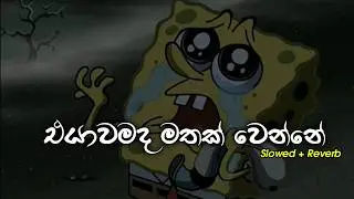 එයාව මතක් කර කර අහන්න  ( Manoparakata Sinhala Song Collection )  Slowed + Reverb || Playlist 05