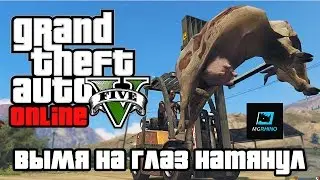 Животные в GTA Online. Они тоже умеют ездить на машинах.