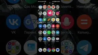 Tinder bug