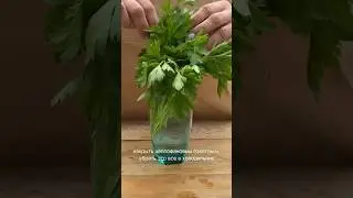 Как дольше сохранить зелень! 3 способа! 