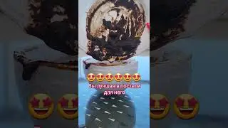 😃😃😃😃