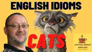 English Idioms-Cats