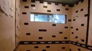 Wheelchair Accessible Shower