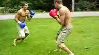 How to win a fight