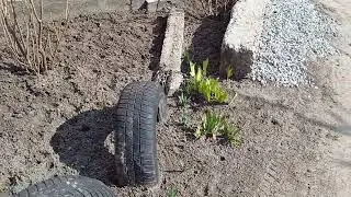 ЗА ЭТОЙ ДАМОЙ НЕ УСПЕЕШЬ...