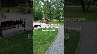 27 июля 2024 г.