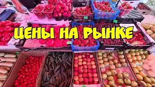 Кучугуры сезон 2021 Обзор Цен на рынке