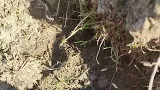 Беспроводной Ионик Аэро на крупной распашке