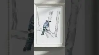 NEWS from my SHOP ONLINE!