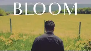 Sohil - Bloom (Official Music Video)