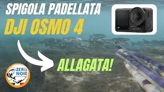 Coppiola! Spigola (di nuovo!) padellata e videocam DJI OSMO 4 allagata in quatto metri di fondo.