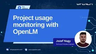 Project usage monitoring with OpenLM