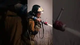 Сжигание сухой растительности