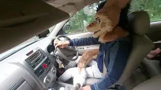 Part 2 [Last video] - Sergal fursuit hill driving video history