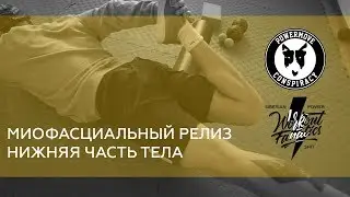 WRKTFNTCS: МИОФАСЦИАЛЬНЫЙ РЕЛИЗ НИЖНЕЙ ЧАСТИ ТЕЛА LOWER BODY MYOFASCIAL RELEASE
