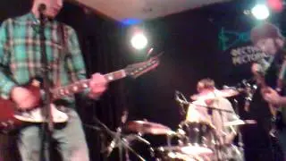 Смеющийся тигр в Диване 17.02.2013