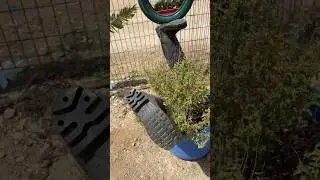 Flower bed ideas