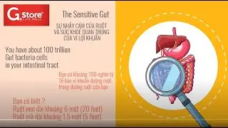 SIÊU THỰC PHẨM, sẽ giúp bạn thành một SIÊU SAO !