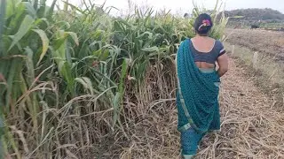 my 🚜🐄🌾farm ..... 🤩