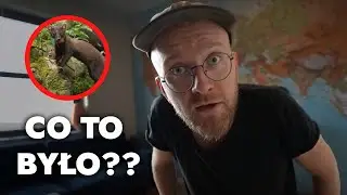 Grzyby w domu i inwazja gryzoni  - Dom w górach #3