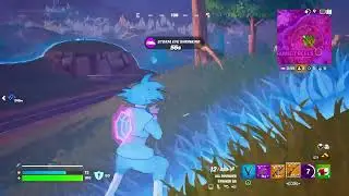 Fortnite_20231231131303