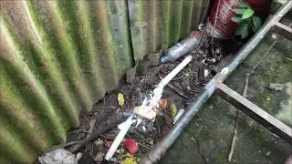 lol
