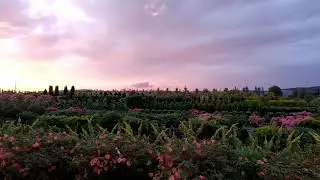 Садовый центр 