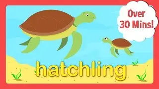 Learn Baby Animals For Kids | Number Zoo and Puppy Park | Toddler Fun Learning