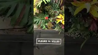 FLEURS DE VILLES - VOYAGE #freshflowers #floral #fleursdevilles #blooryorkville #toronto