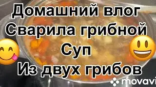 Домашний влог Сварила грибной суп из двух грибов
