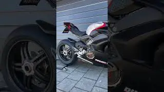 Ducati Panigale SP Dry Clutch ASMR 🔥 #ducati