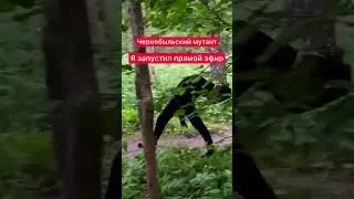 ❗️СТРИМ❗️