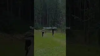 Ты Заслуживаешь Большего. Красивые Слова Про Любовь.
