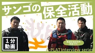 【適応策】気候変動でサンゴはどうなる？