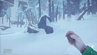 THE LONG DARK: Crazy Rabbit