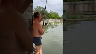 Рыба уже не человек 😂🤣 