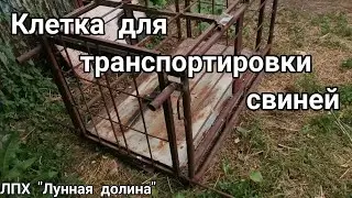 Клетка для транспортировки свиней.