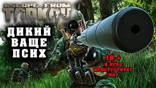 Челобот в стране чудес. 18+ в игре присутствует мат !!! | Escape from Tarkov | Стрим