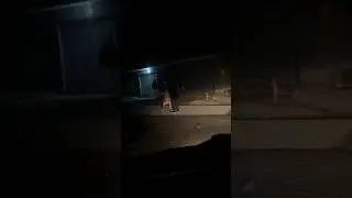 Севишганлар бахтли булсин❤