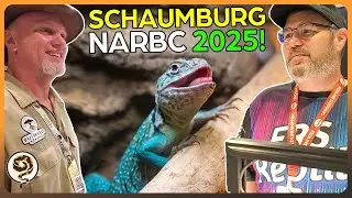 We Went to NARBC Schaumburg 2025 Reptile Expo! (plus our pickups!)