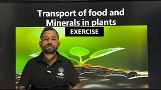 TRANSPORT OF FOOD AND MINERAL IN PLANTS  EXERCISE CHAPTER 1  CLASS 8 ICSE