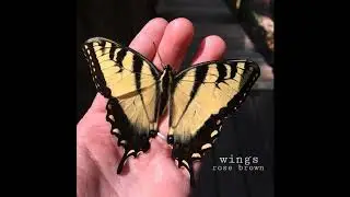 Wings || Rose Brown Music