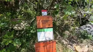 Samos Hiking - Path 24 - Pandroso - Lazaros Peak