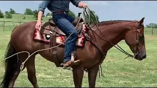 Spooky Voodoo Doll, 2016 Mare
