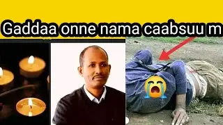 sifaani Bekele is live gadda onnee nama cabsuu
